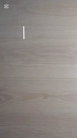 Vlog