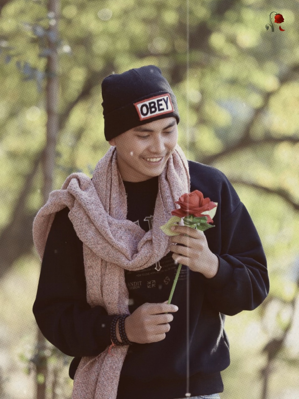 happy rose day 