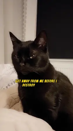 Before coffee