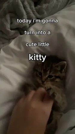 turn into a cute lit