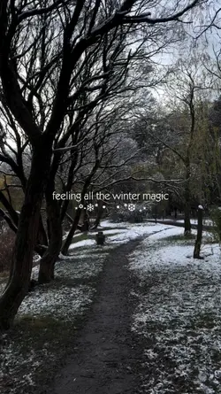 Winter Magic