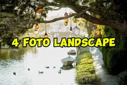 4 foto landscape