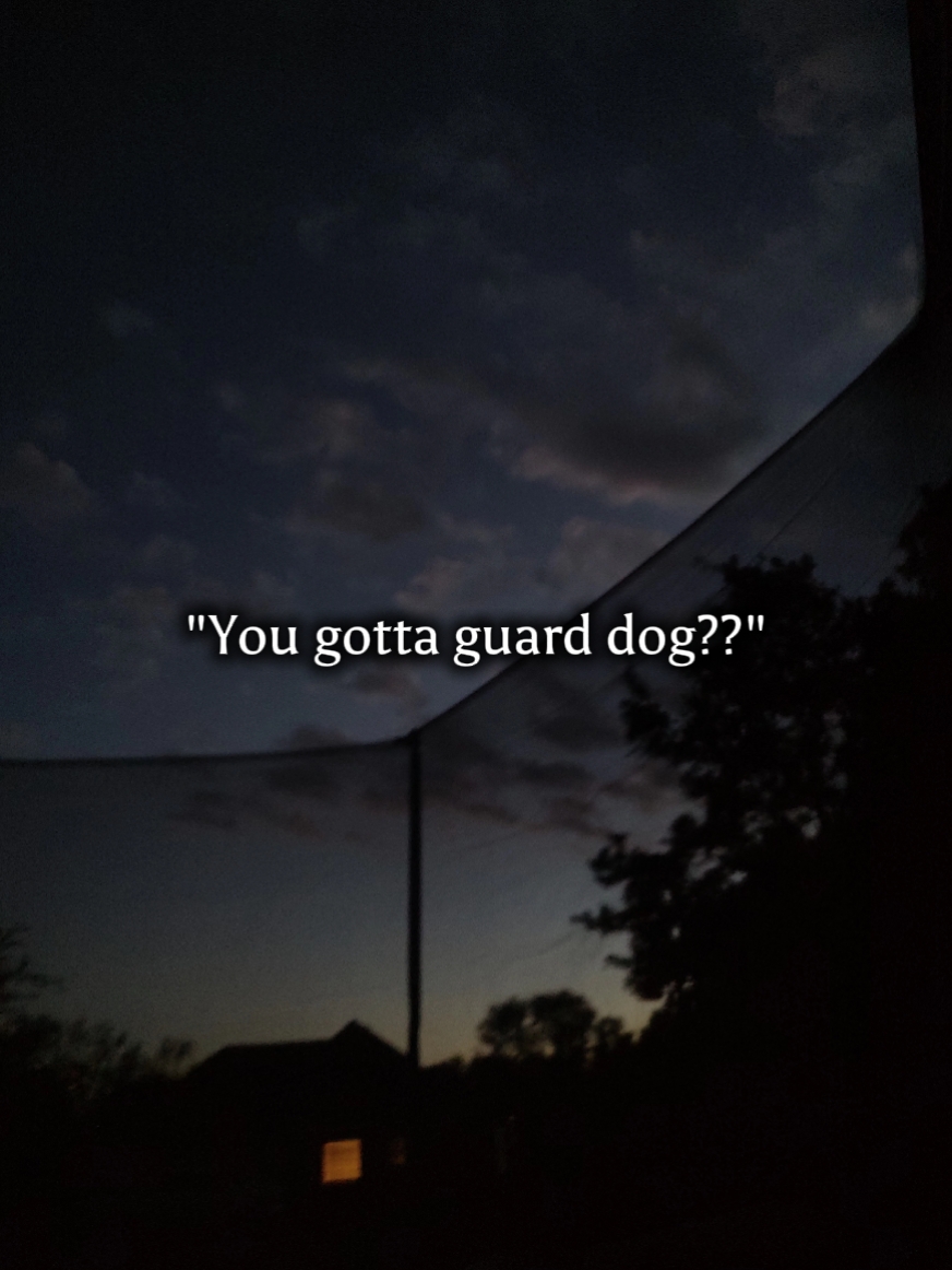 Guard dog!