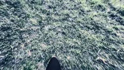 video 0.5