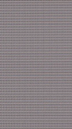 PP/WALLPAPER TREND