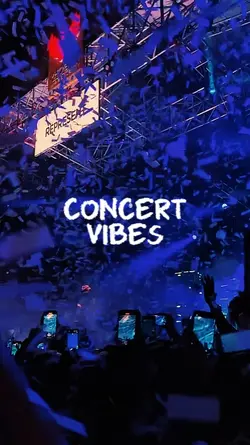 Concert vibes