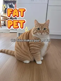 Fat Pet AI Filter
