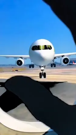 Airplane Hook
