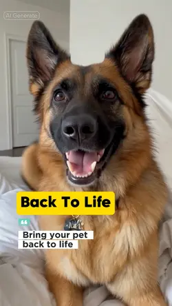 Back To Life
