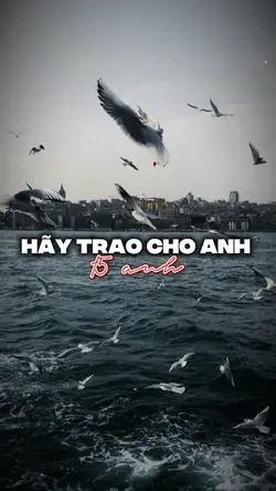 Hãy trao cho anh |