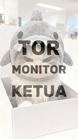 JJ Tor monitor ketua