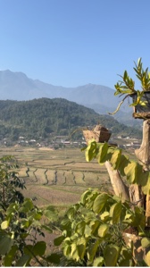 Dragón pequeño