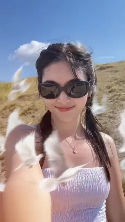 trend burung merpati