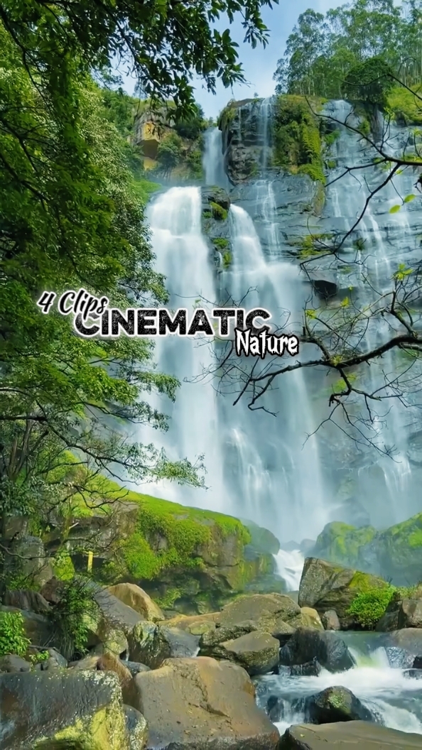 Cinemática 4 Clips 
