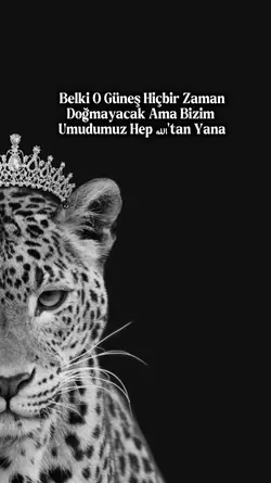 Yeni şablon