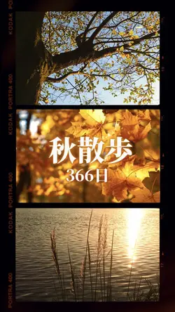 秋🍂散歩