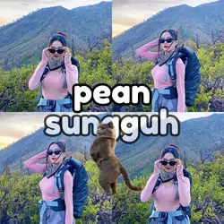 P p apa