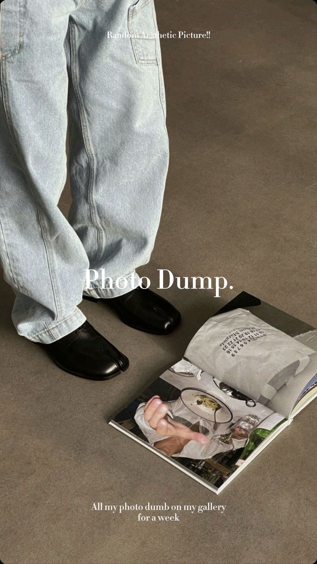 photo dumb recap