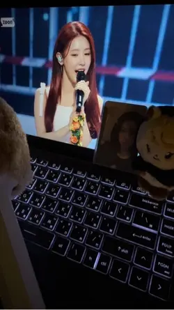 追星多張照片模板！