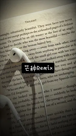 芒種Remix