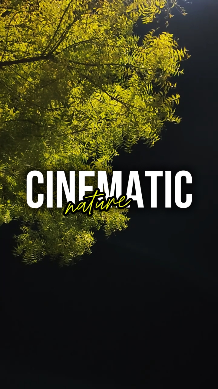 CINEMATIC NATURE