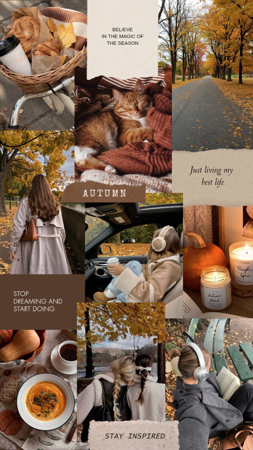 autumn is brown