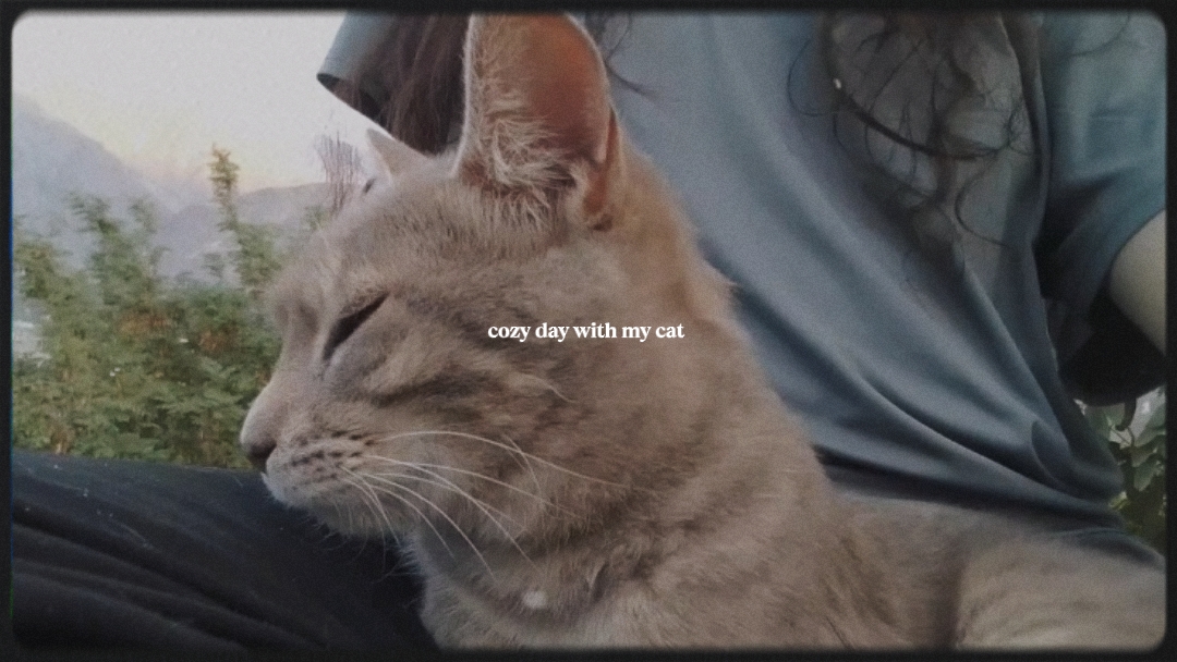 Mini gato vlog Con