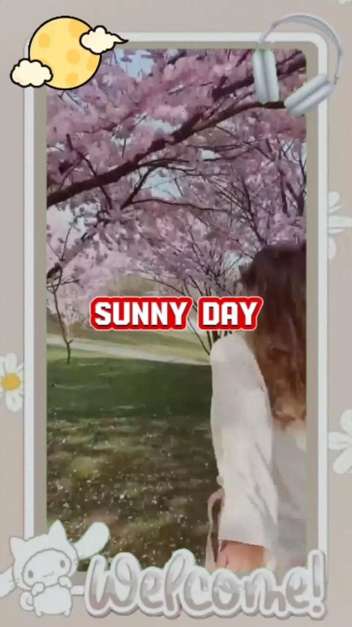 sunny day 