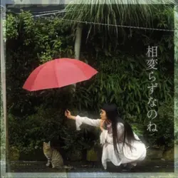 真夜中のドア〜stay with mee