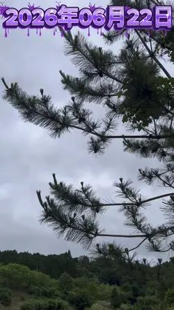 今日の天気