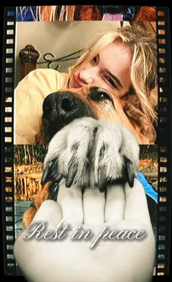 Rest in peace my dog