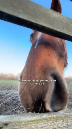 je pense tjr à toi 💗