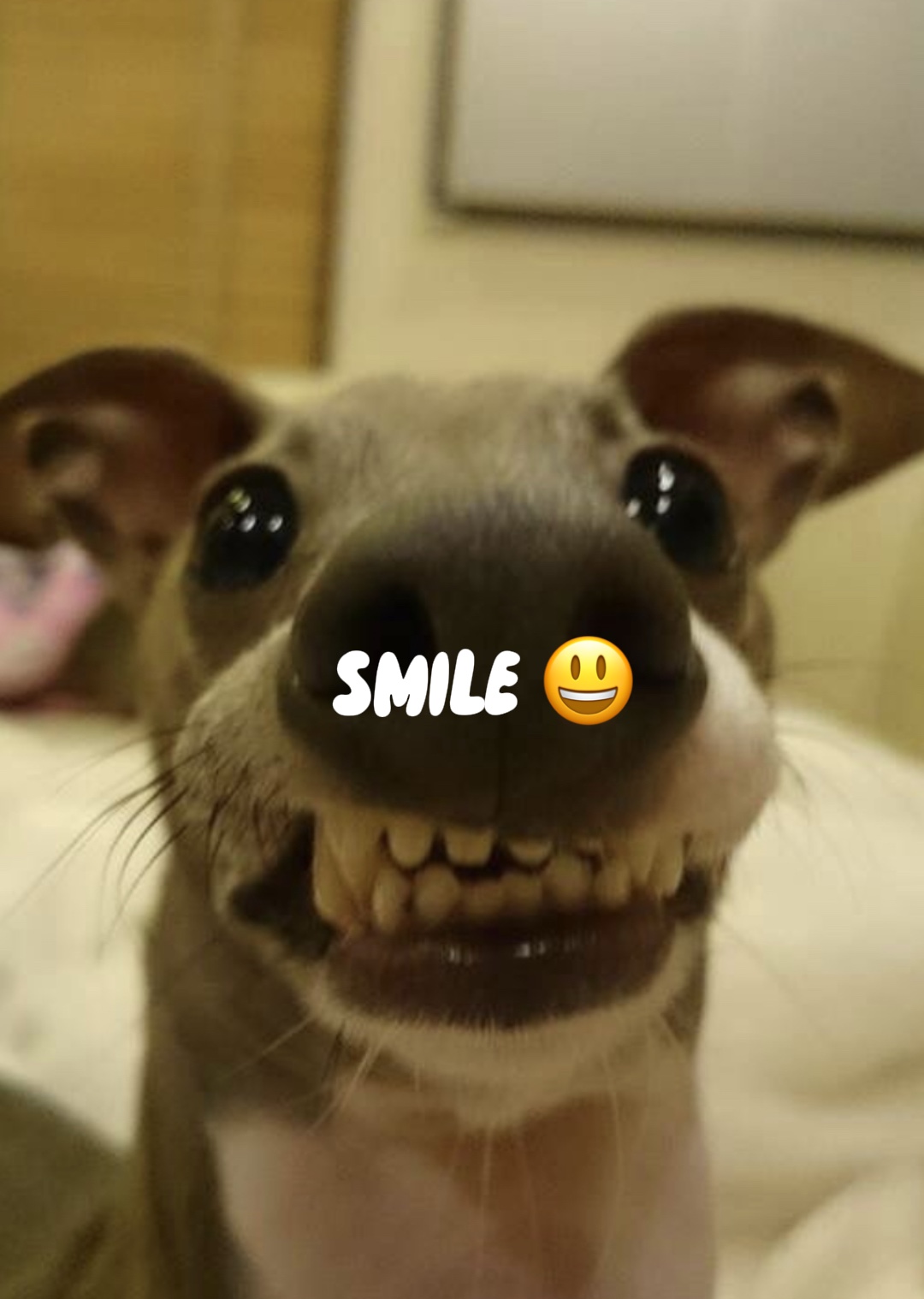 微笑 😃 