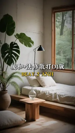 緩和+法修散打DJ版
