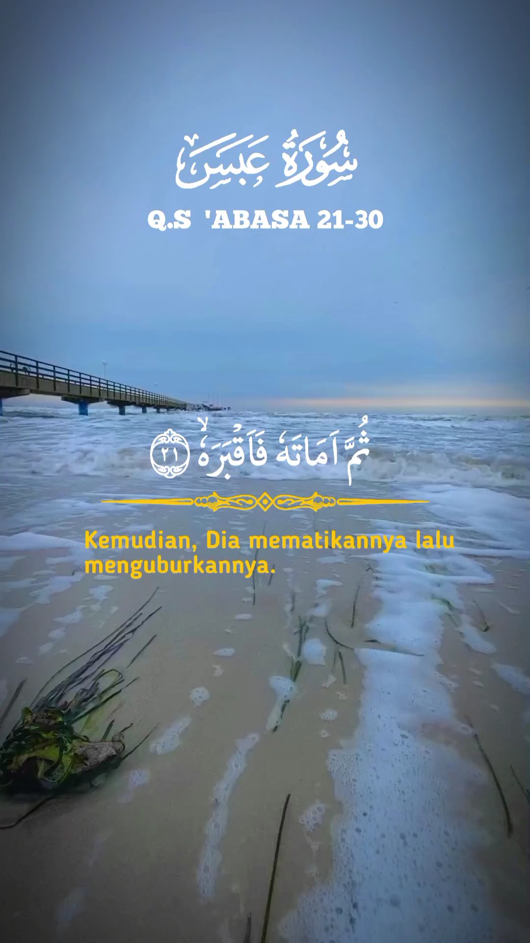 Q.S 'ABASA 21-30