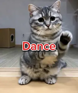 dance