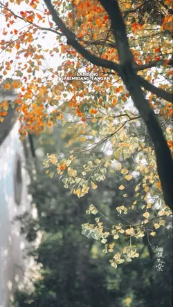 Lagu minang