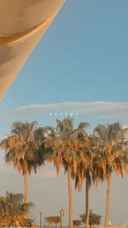 aesthetic escape
