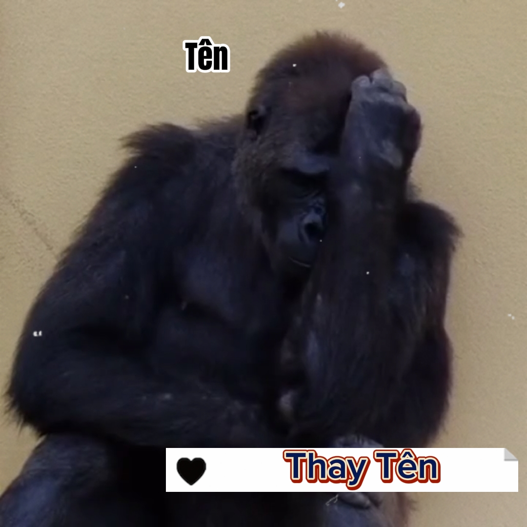 Phải cho có nhỏ nào