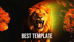 Lion Best Intro