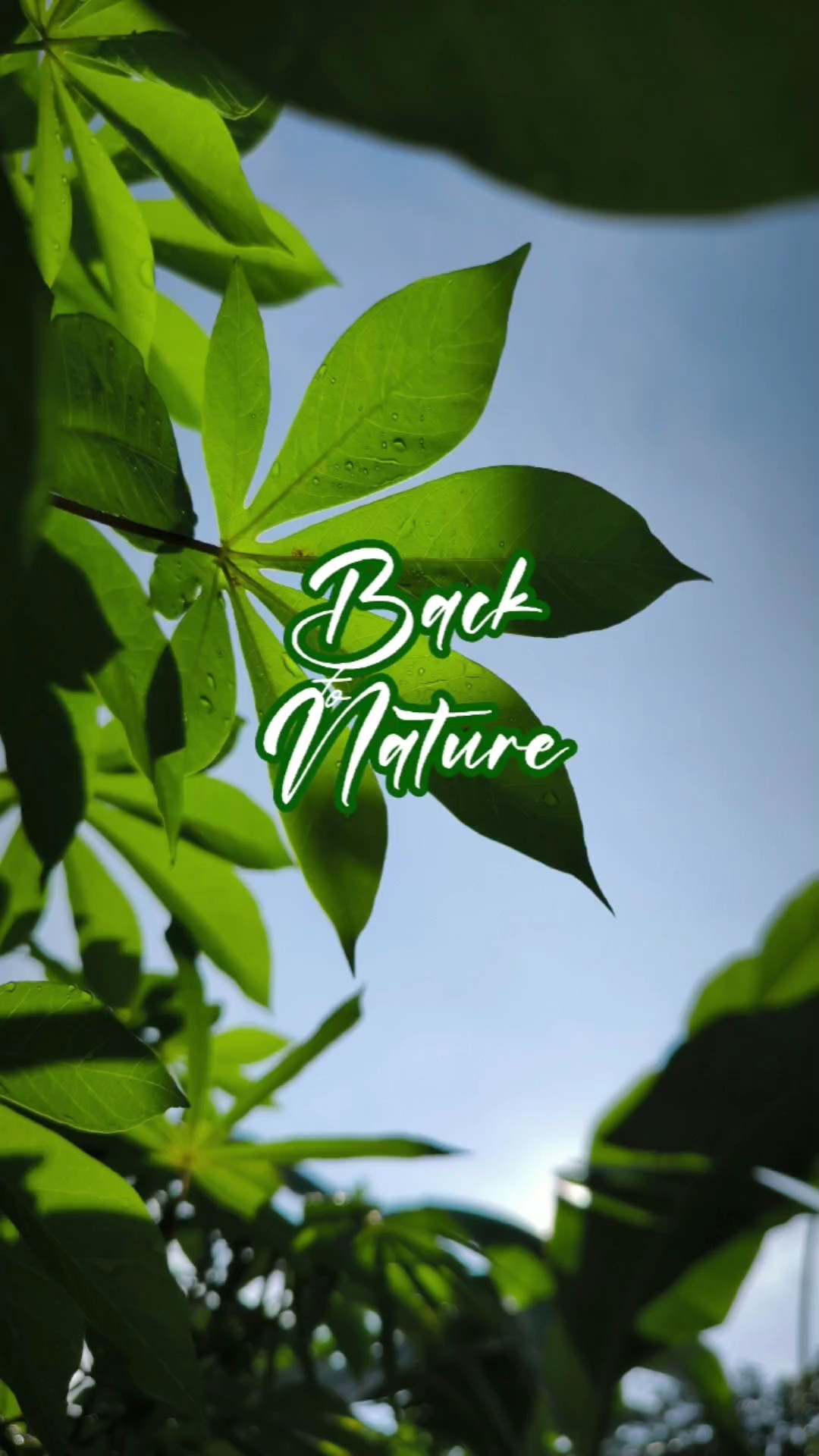 De Volta À Natureza