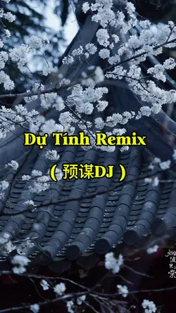 Dự Tính Remix / 预谋DJ