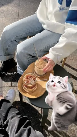 Stiker Kucing Viral