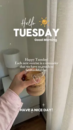 Hello Tuesday 🌞