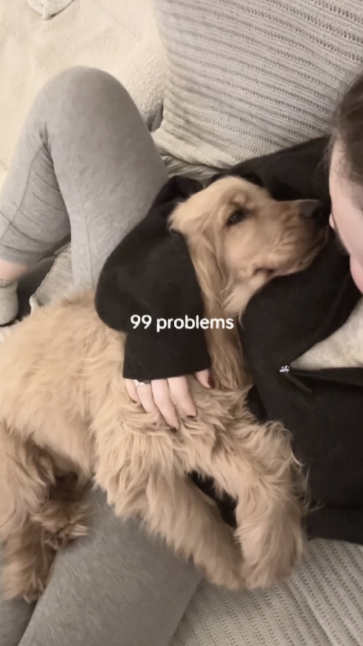 99 - 0 problems 