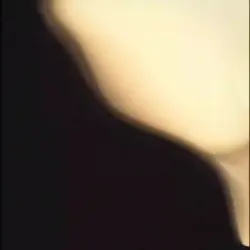 viral template us 