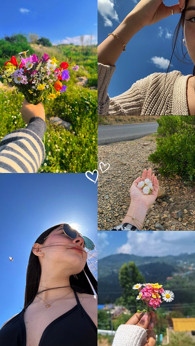 5 PICTURES AESTHETIC