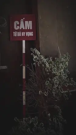 hành trình học tập