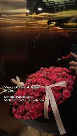 Caption + màu