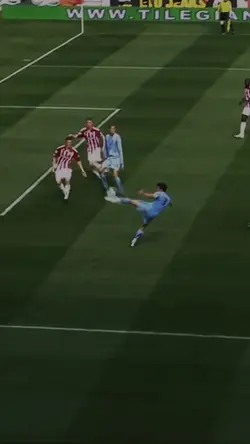 Cold goal template 🥶